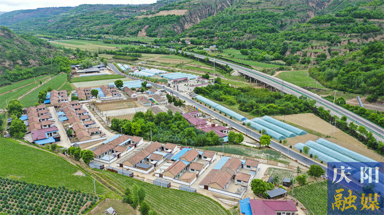 甘肃合水:一屋带“三园”乡村焕新颜