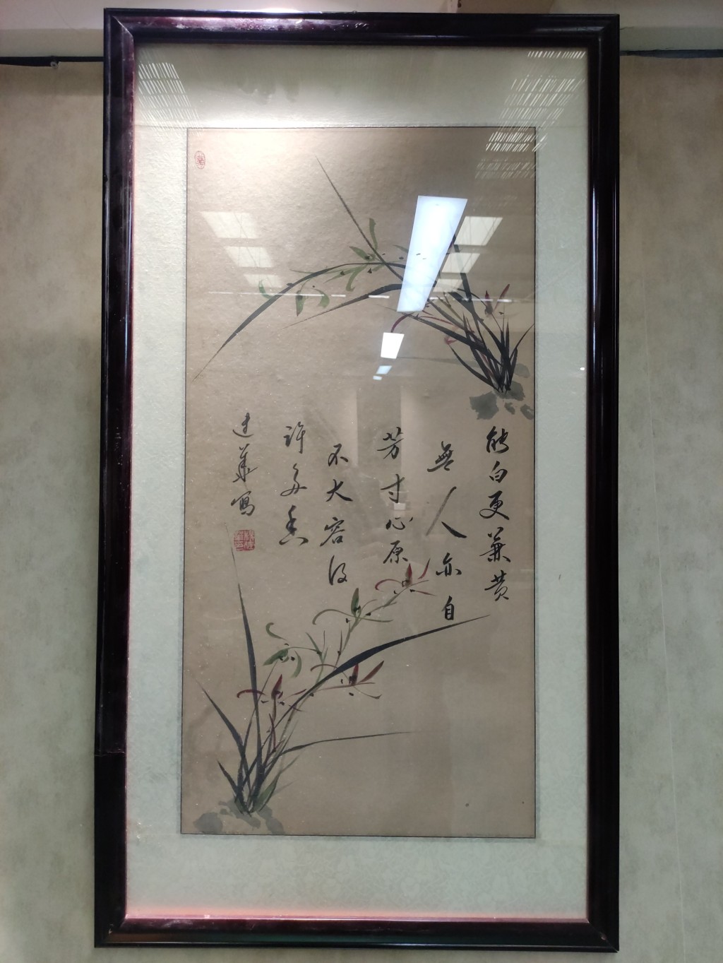 “金陵兰汇”兰花馆于江宁湖东29盛大开业,香飘四溢