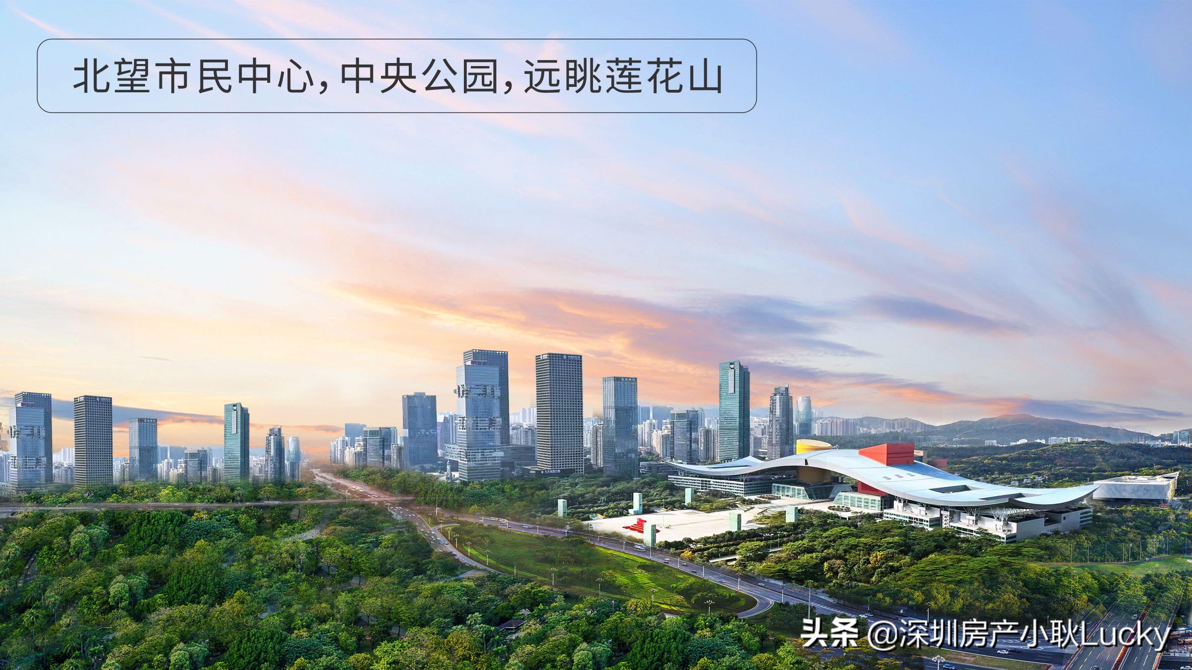 深圳中心天元最好的户型,深圳中心天元539平户型图