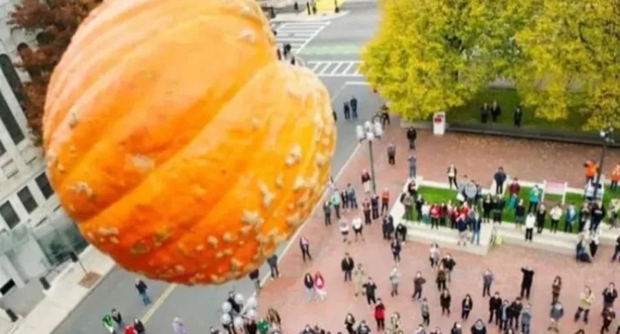 加州理工学院与纽约理工大学比较,世界名校大学合集