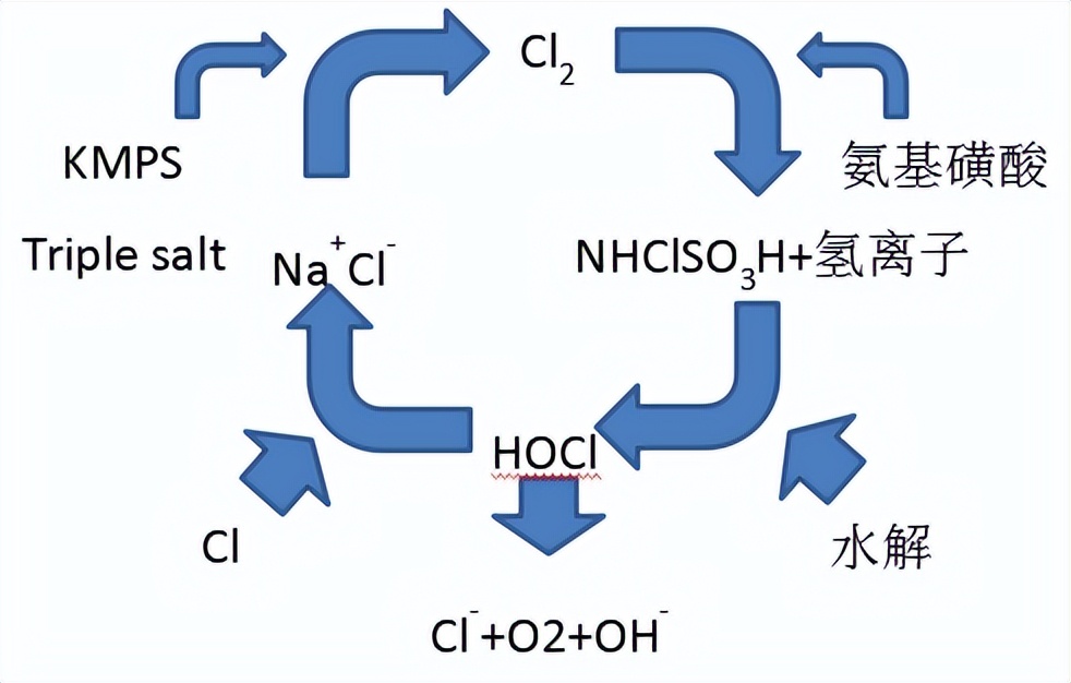 杜邦卫可朗盛卫可的区别,朗盛卫可和杜邦卫可有关系吗