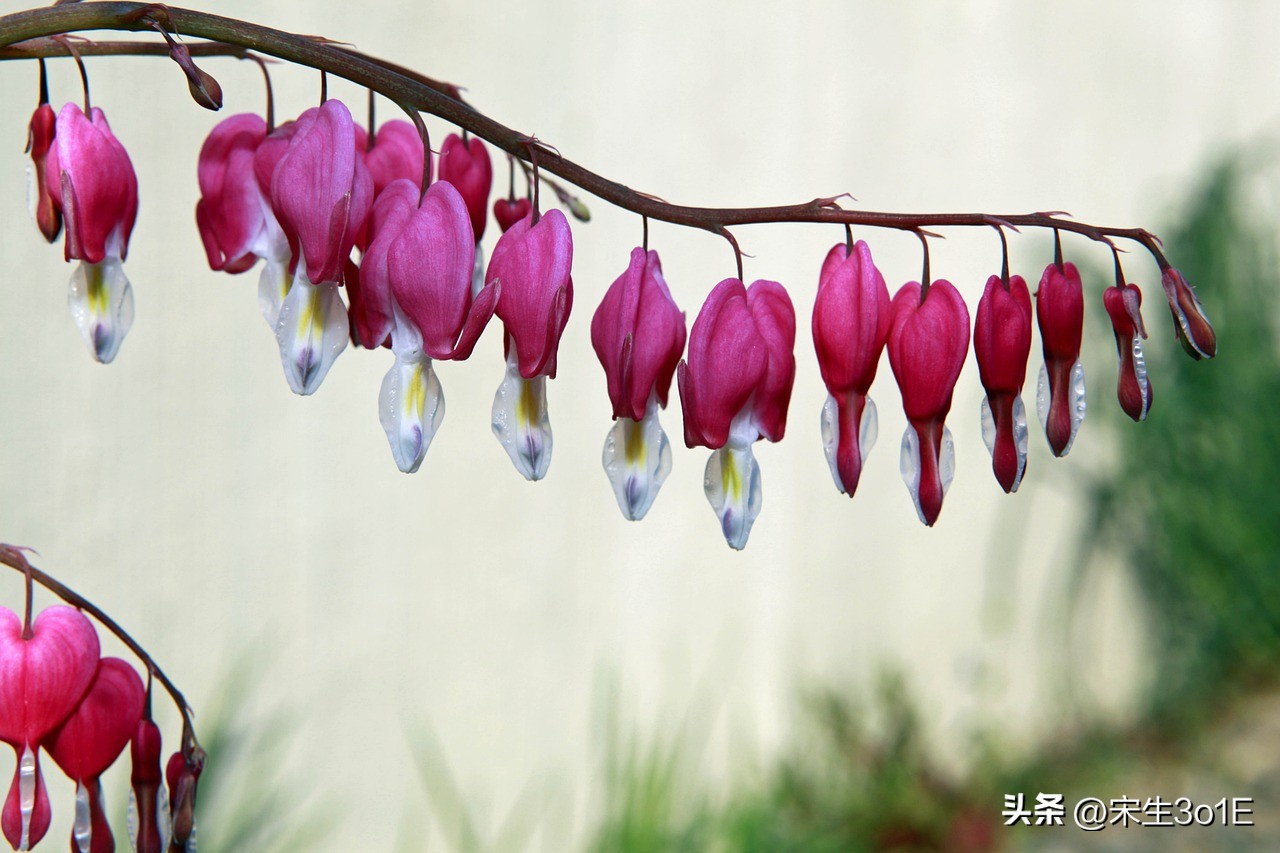 朱良春常用经方,朱良春中医良方秘方