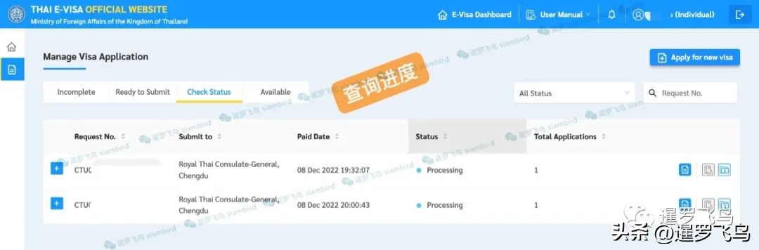泰国游落地电子签证,泰国60天旅游签证电子签怎么发放