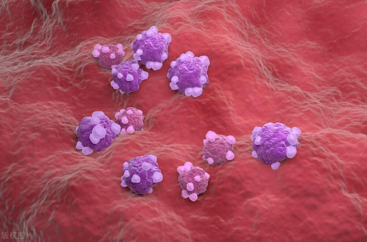 60岁夫妻同时有血是怎么回事,28岁夫妻同时有血是怎么回事