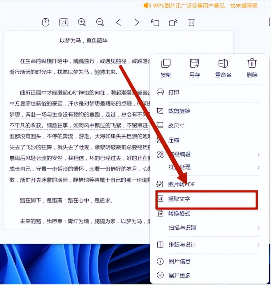 扫描图片提取文字哪个软件好,你知道什么软件可以图片转文字吗
