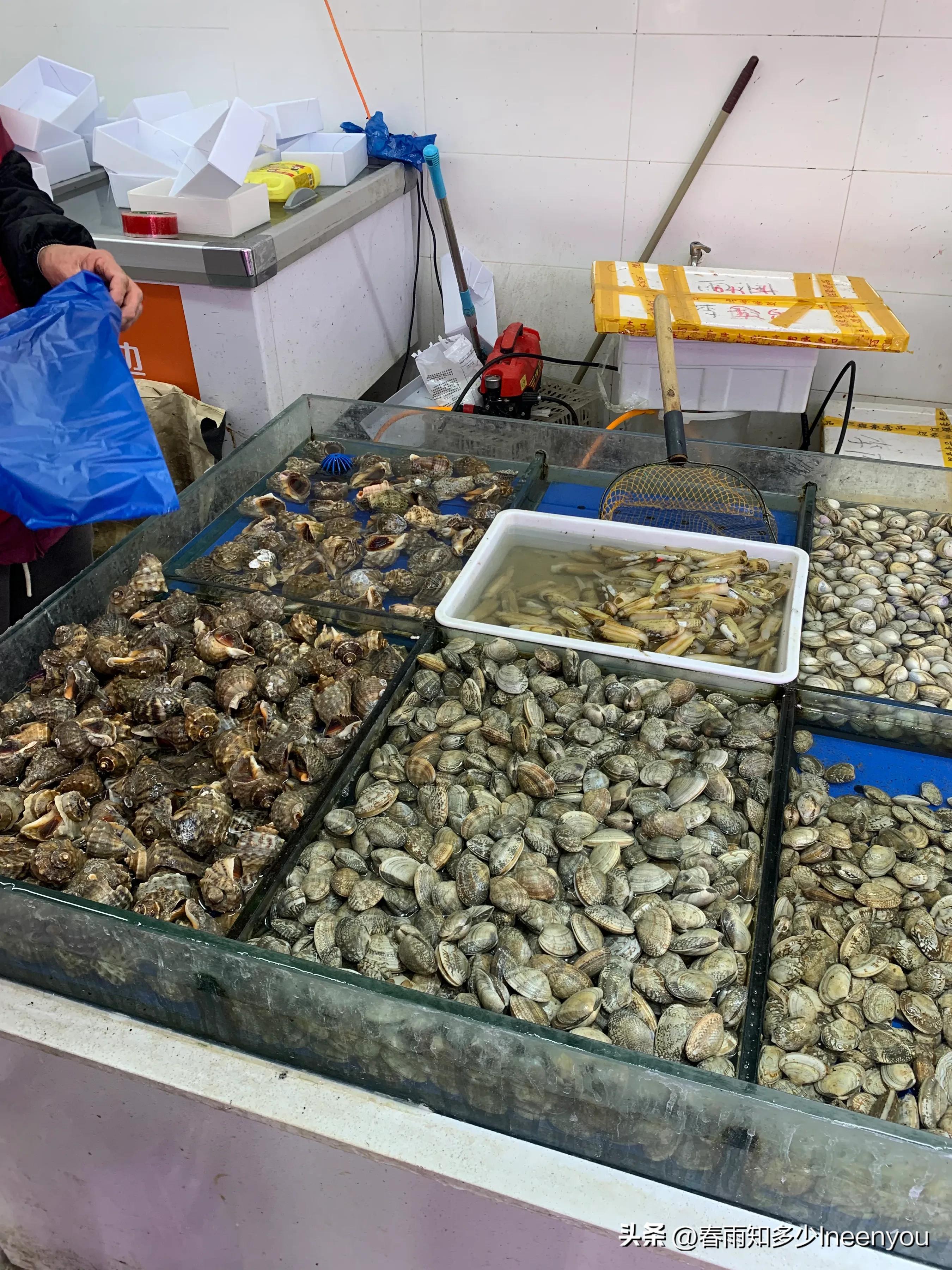 生活本就是不停的奔波,元旦将至忙忙碌碌