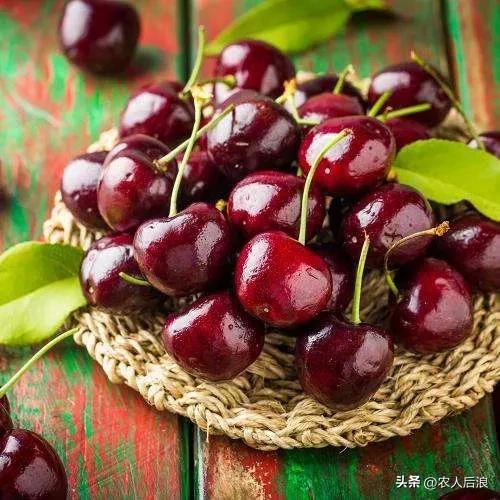 智利车厘子如何保鲜,车厘子过海怎么保鲜