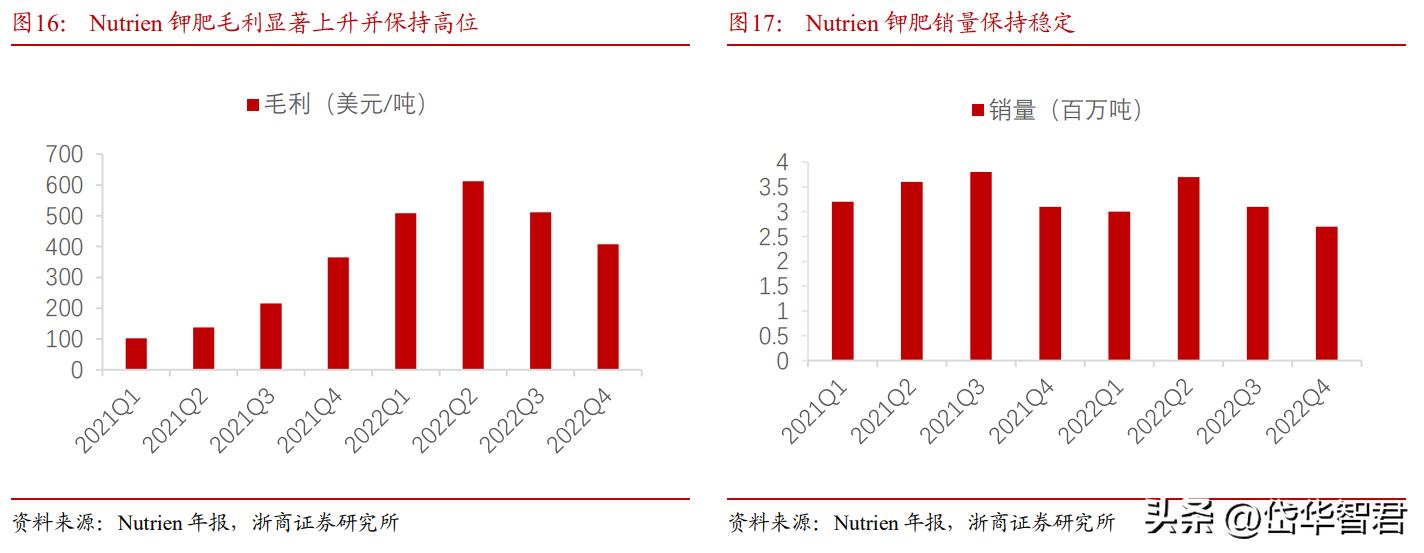 藏格锂业与藏格矿业,藏格矿业深度分析