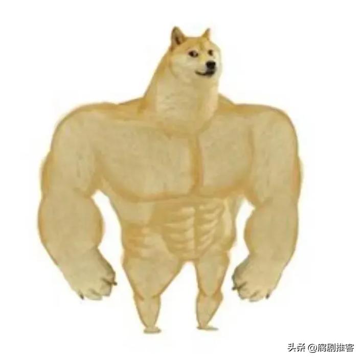 韩国男人为什么喜欢双开门,韩国人为什么都喜欢双开门