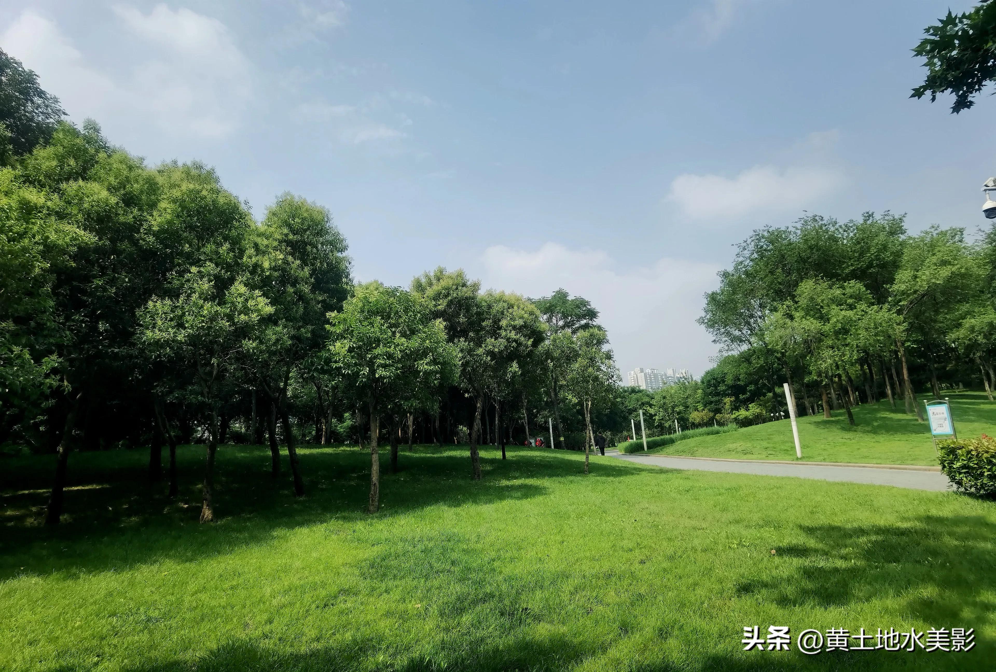 郑州儿童节周边游,郑州室外适宜小朋友游玩的景点