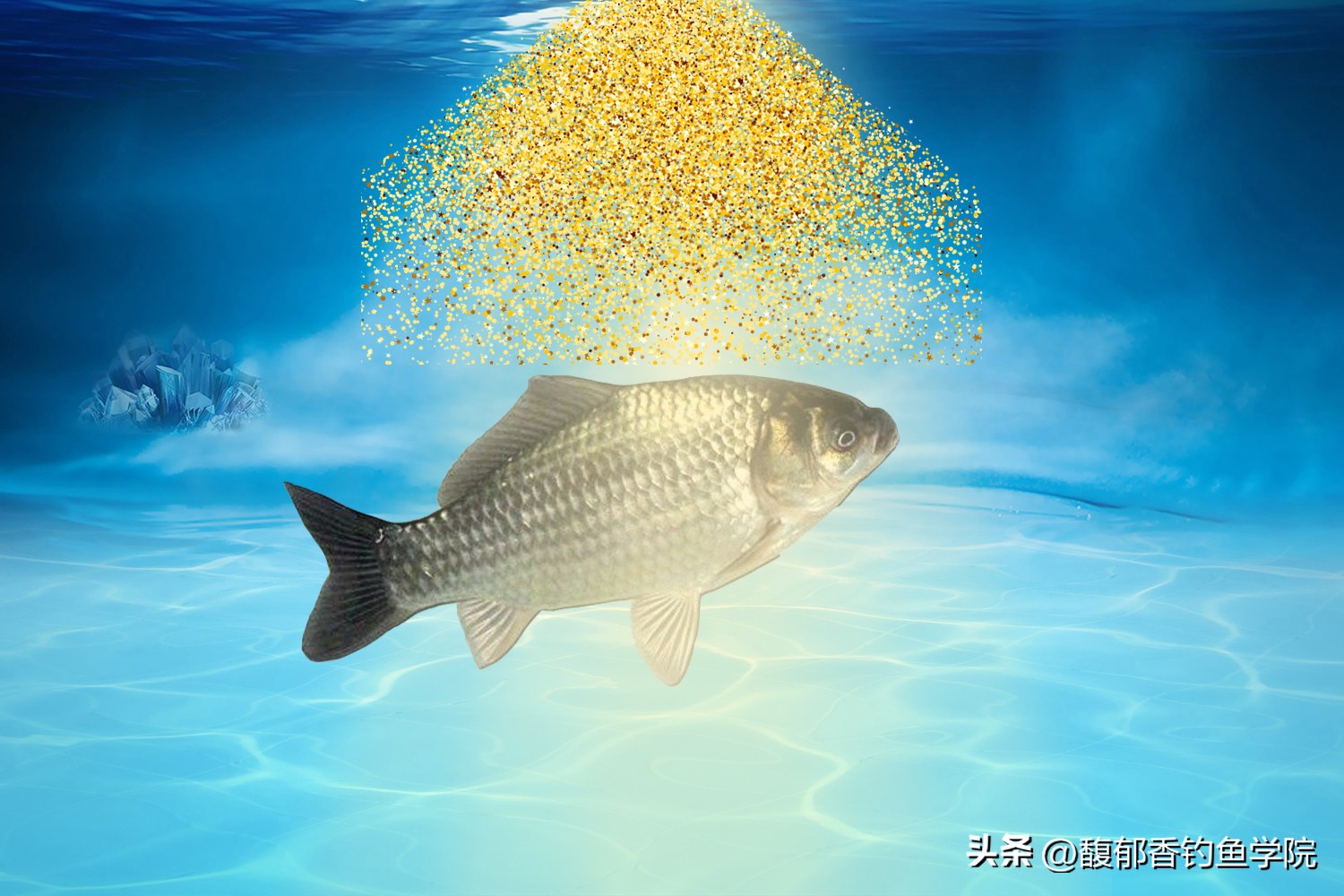 鱼饵雾化对诱鱼的作用,鱼饵雾化效果好需加什么