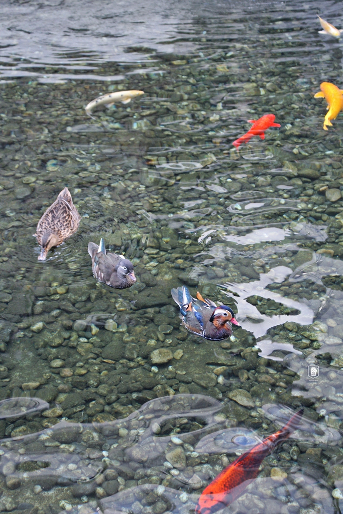 苏州小众宝藏博物馆,北京宝藏博物馆国家级