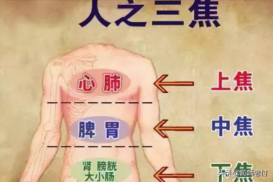 二妙丸妙在哪?下焦湿热老中医最喜欢用它,除湿它有一套