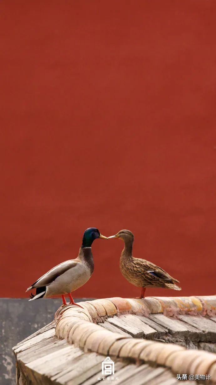 愿五月平安顺利开心,愿五月一切平安顺遂