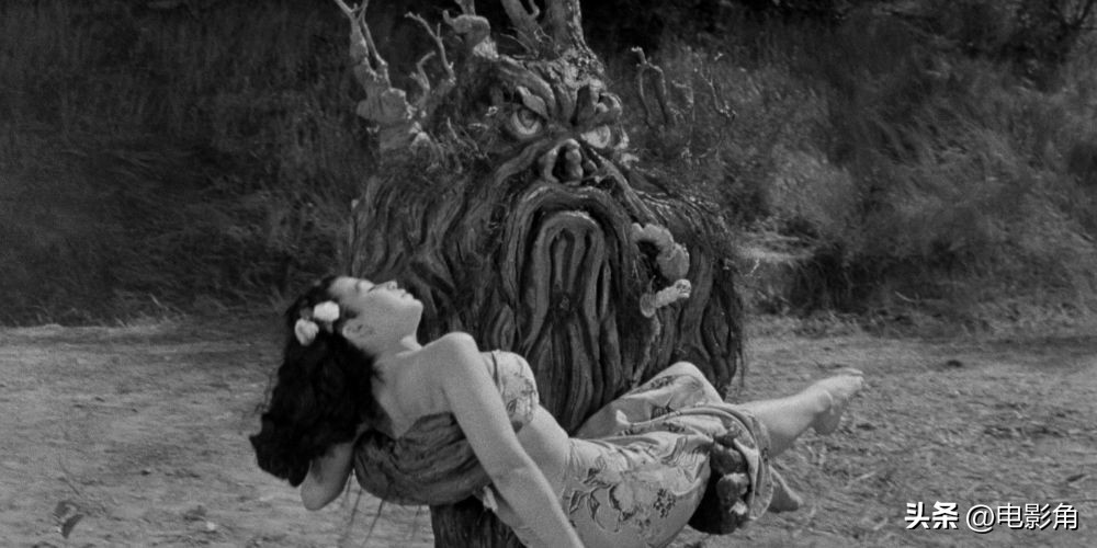 恐怖怪兽电影大全免费观看,恐怖植物电影