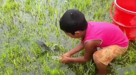 男子手长满树疙瘩是什么病,男子手长满树疙瘩手术了吗