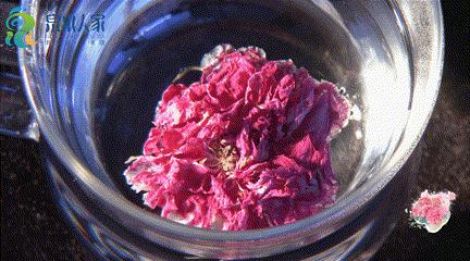 山东省平阴县玫瑰花海,平阴玫瑰万亩花海花期