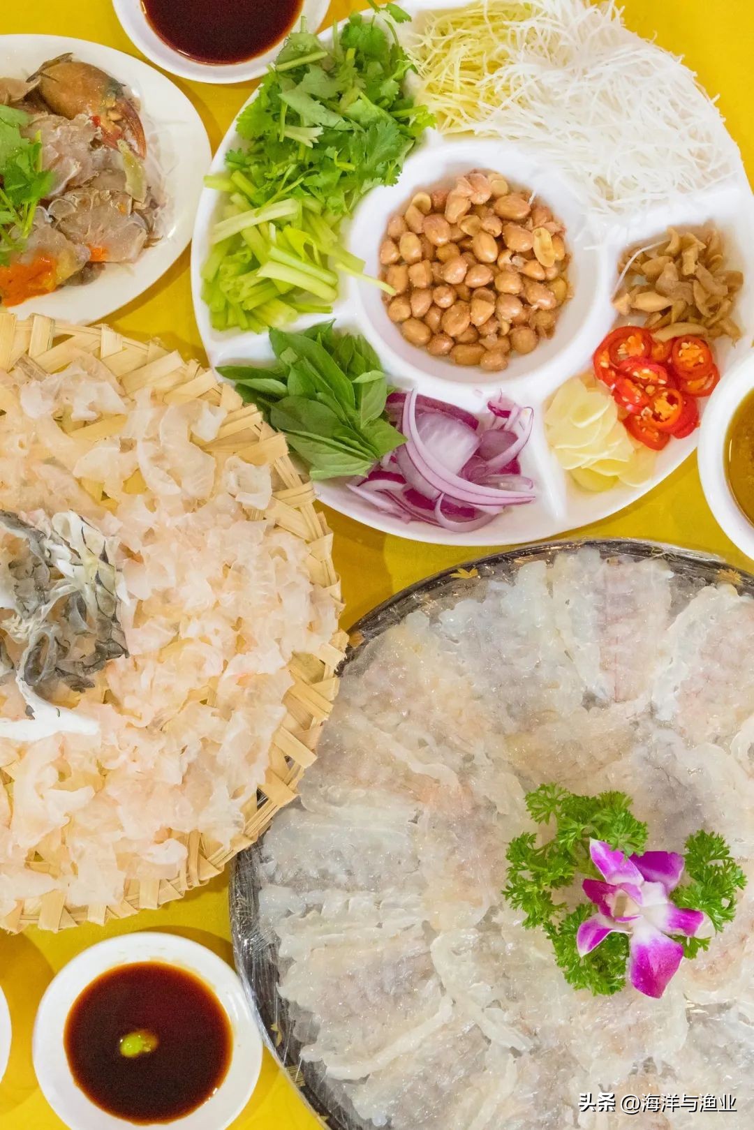 中国渔业海鲜之都,海鲜水产哪几个地方最出名