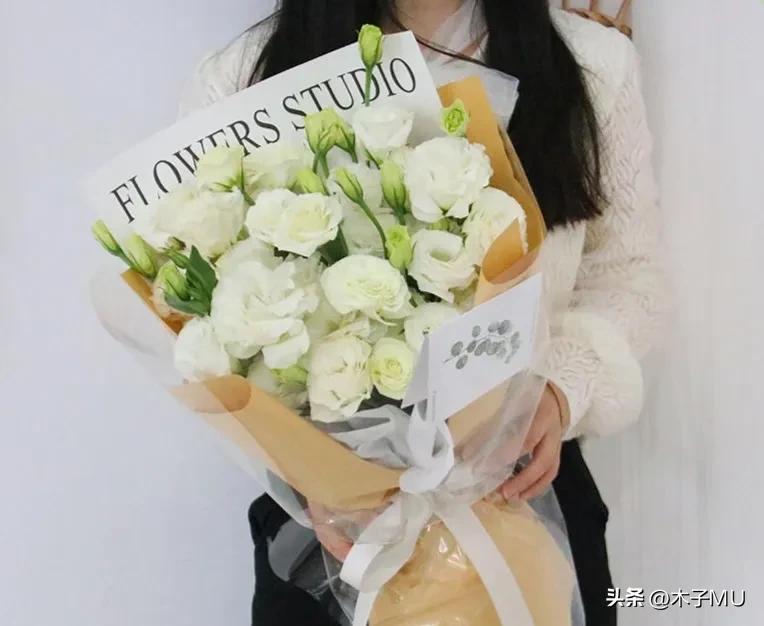 看望病人送什么花合适呢,看望病人送什么花合适