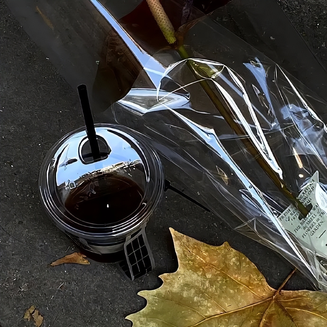 微信朋友圈背景图动态教程,背景图朋友圈高级感简约风