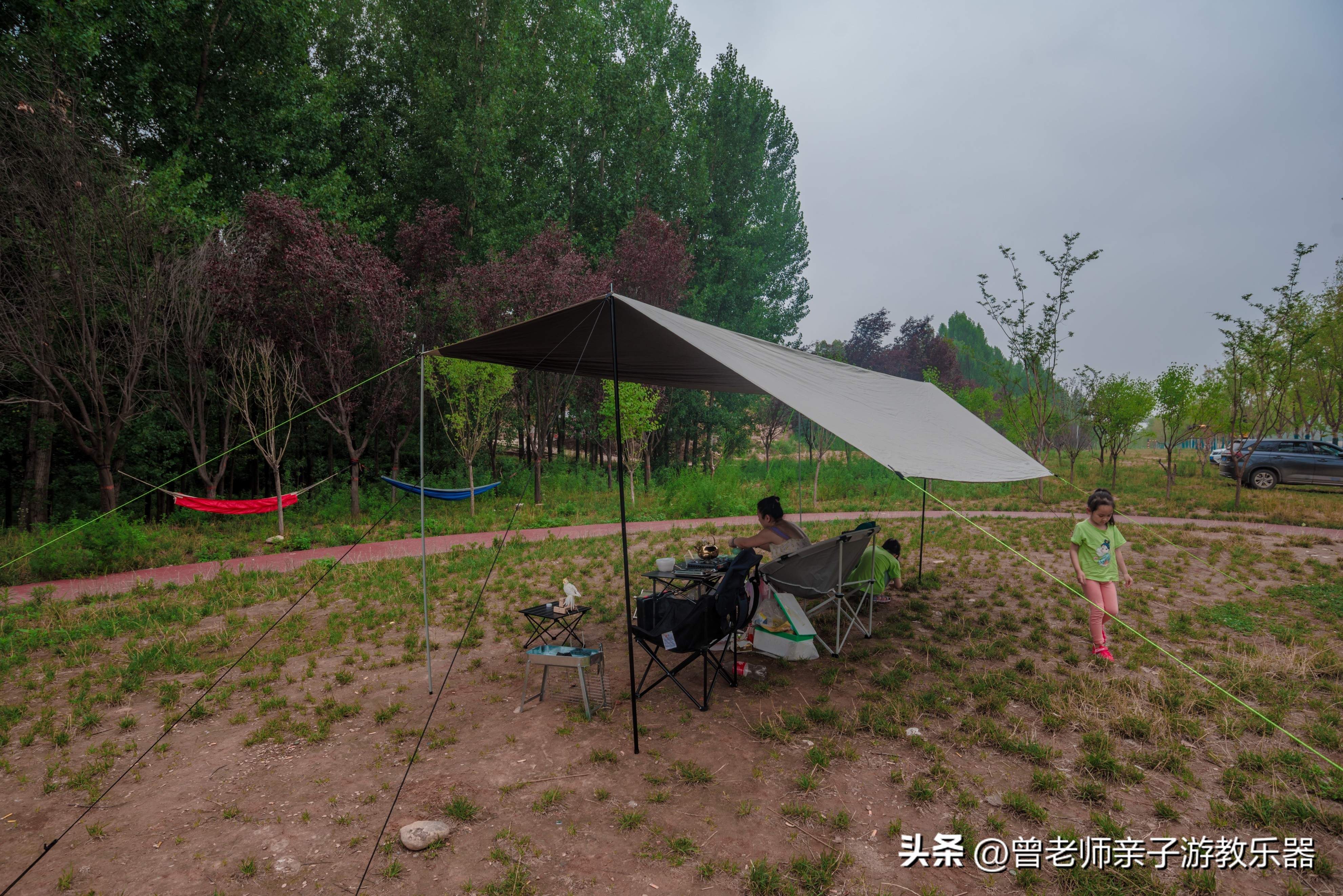 西安旅游景点免费推荐一日游攻略,西安旅游必去景点推荐一日游免费