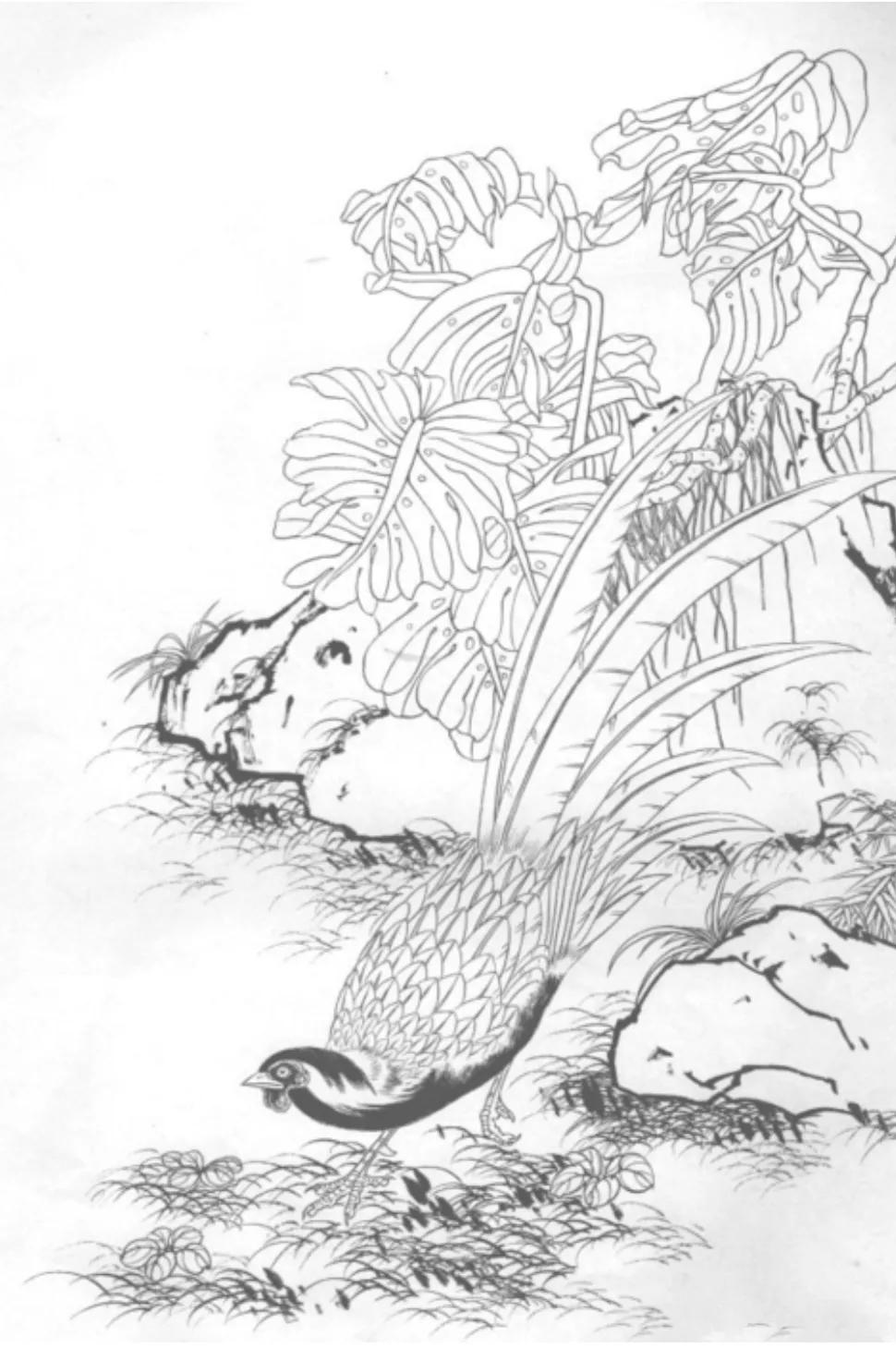 最美的白描作品欣赏,最难得一见的白描