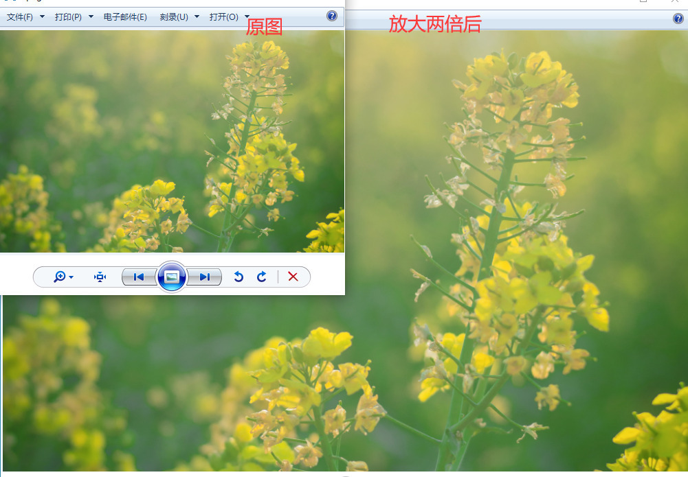 ps中图片一放大就模糊怎么变清晰,ps中图片放大后模糊怎样变清晰