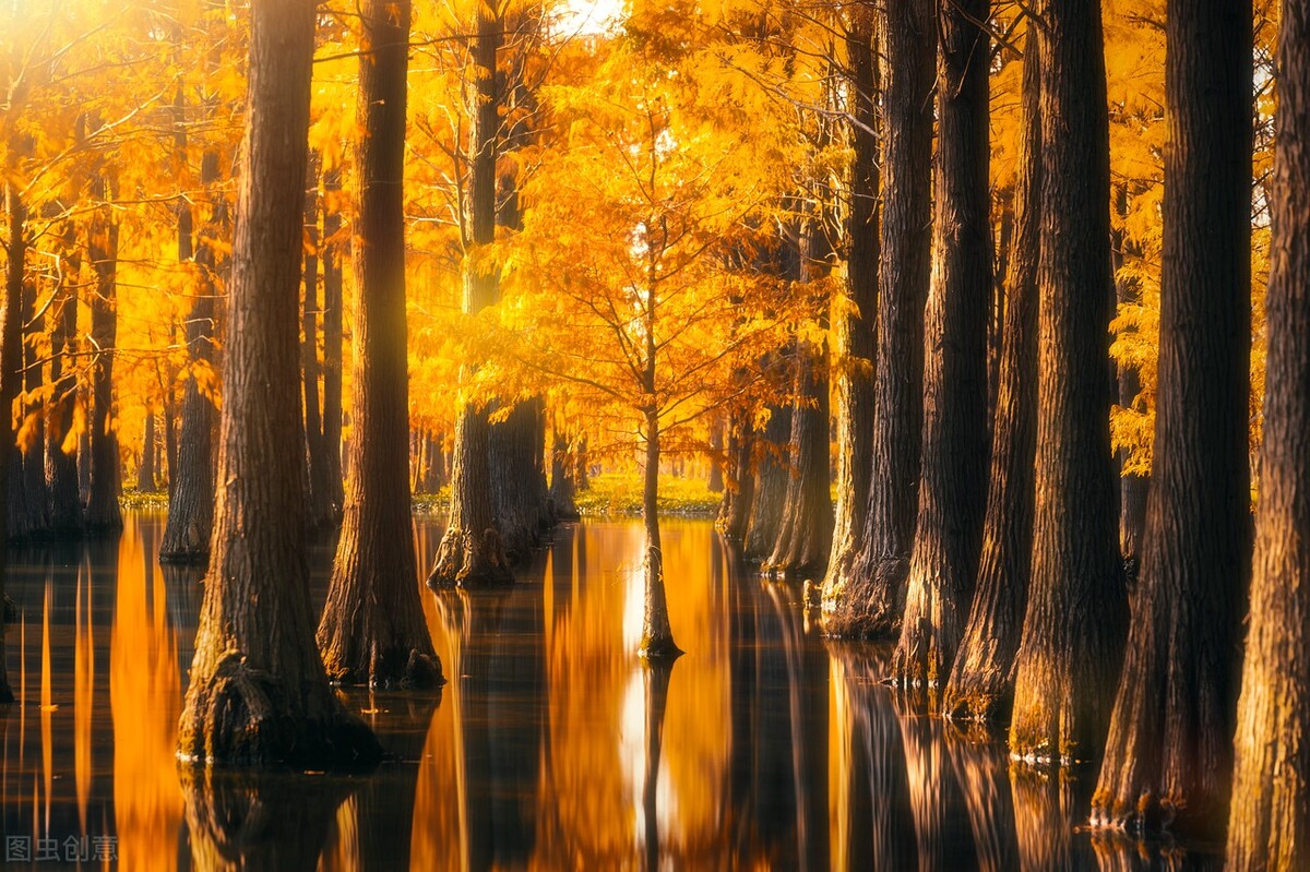 十一国庆上海不出沪去哪玩,上海国庆去哪玩