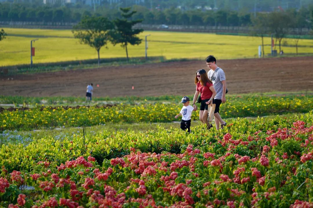 光明，一个来了就想安居的地方！