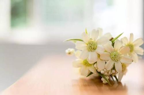 助人助己满分作文,助人就是助己100字作文