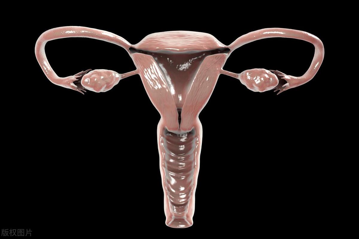 为什么经常会得妇科病,为什么会反复有妇科病