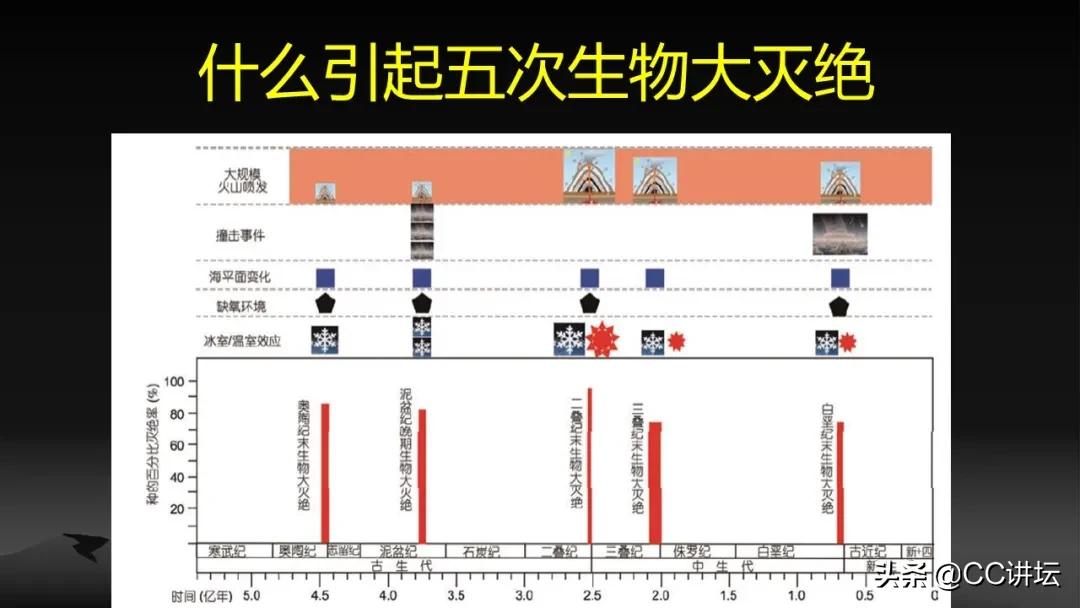 海洋恐龙和陆地恐龙,海洋恐龙与陆地生物对比