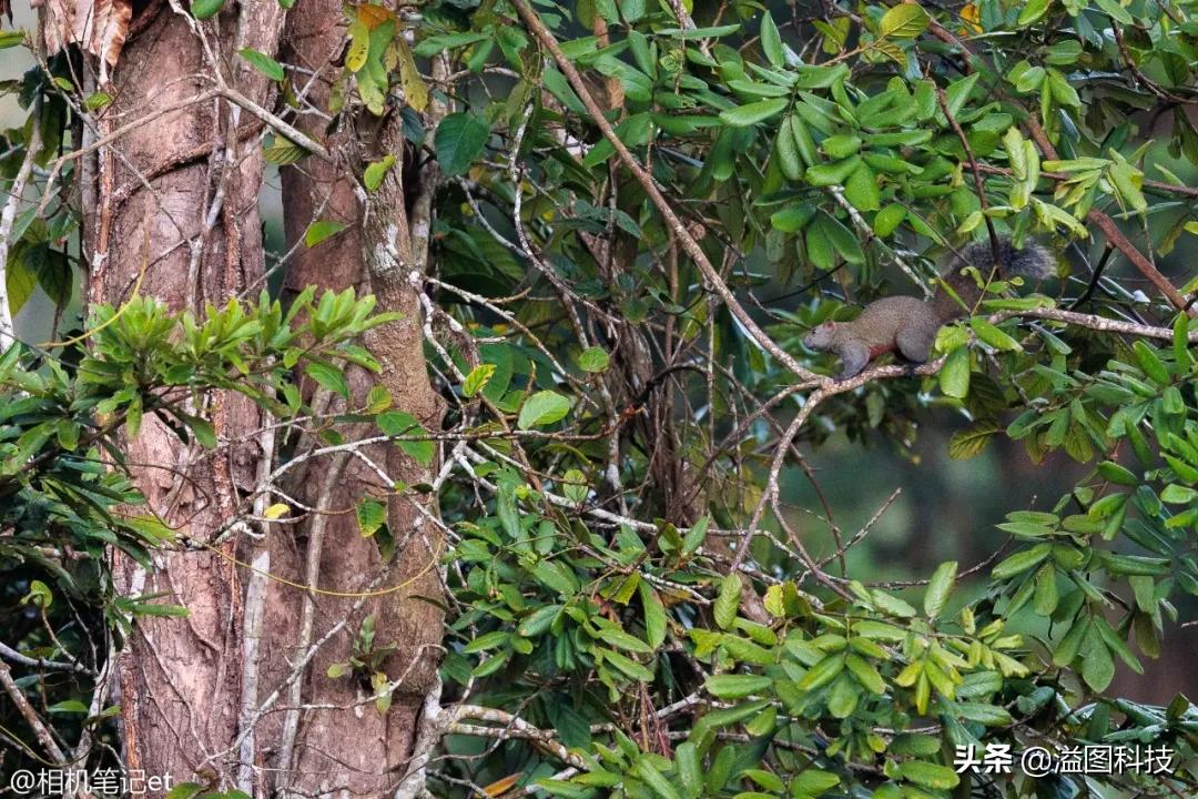 鑱婅亰钄氭潵et9,鑱婅亰钄氭潵et5