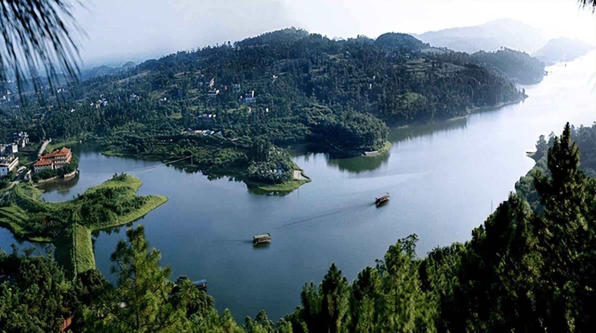 【诗词】我的长江是一棵树（外四首）‖罗学娅