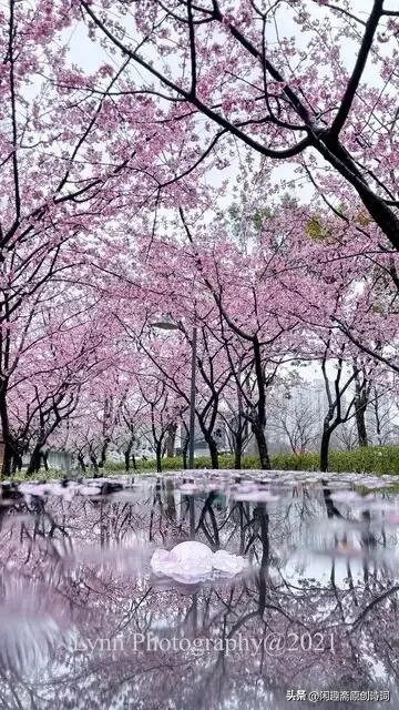 七律叹人生平水韵,七律平水一韵的诗