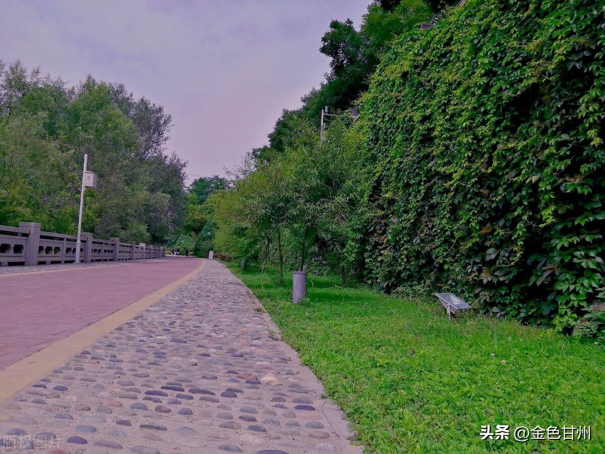 董宁｜赏阅古诗春意暖