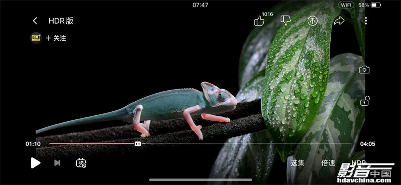 「专题」真的能看8K吗？国内外流媒体视频平台画质大比拼