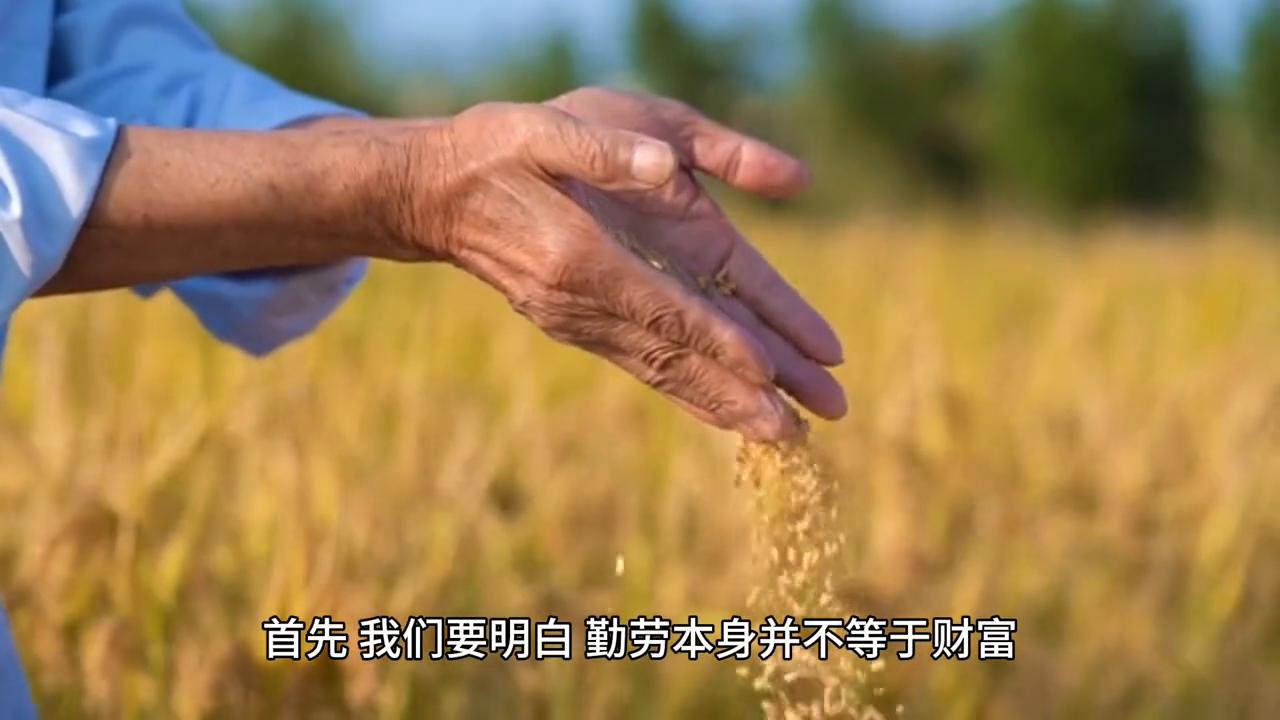 勤劳能致富吗知识能改变命运吗,勤劳致富改变命运吗