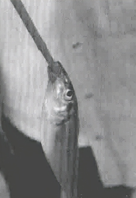 十一种投钓钓具让你成为海钓高手「日本专业海钓入门投钓书籍」