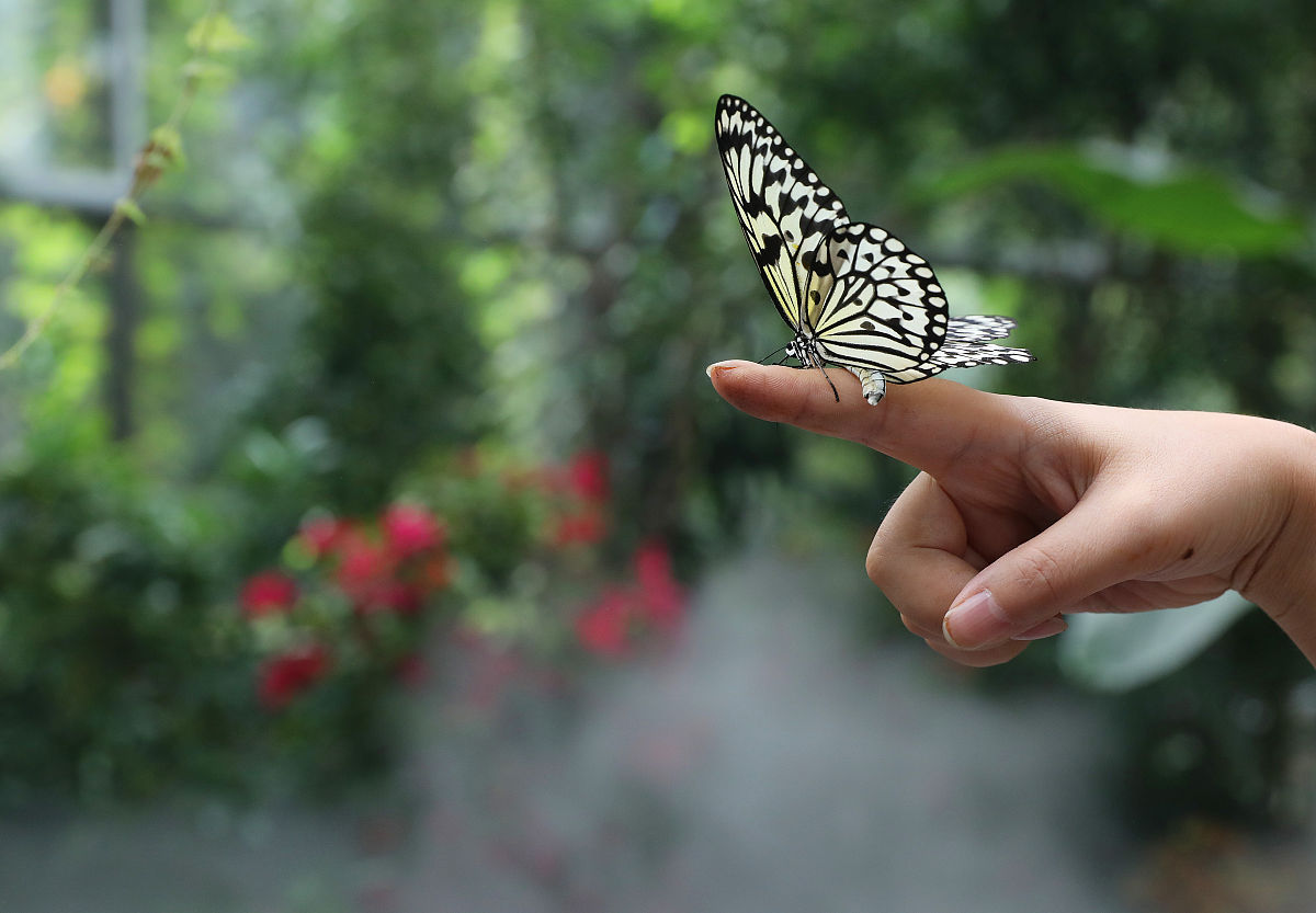 我是怎样走出抑郁症的,我是如何走出抑郁的刘聪