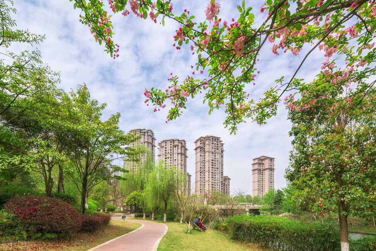 外研社版小学英语语法知识点归纳,中小学英语语法时态知识点