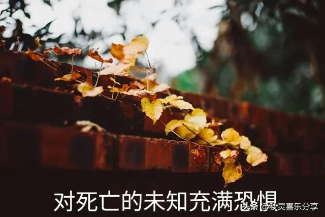 对死因有疑问怎么办,对死亡的疑问怎么解释