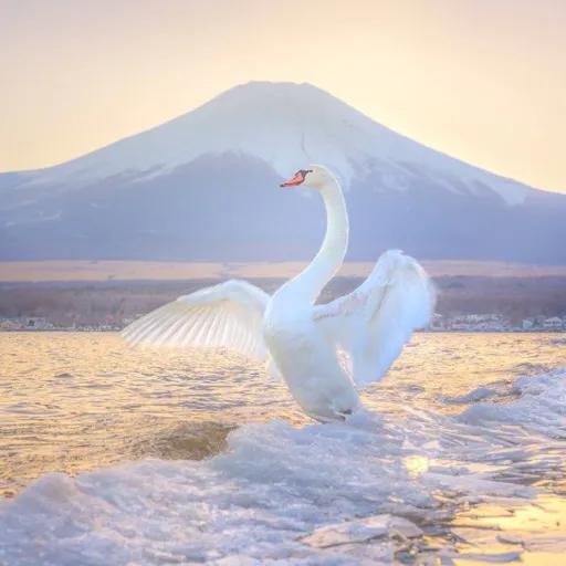 对于迷茫的本科毕业生如何择业,应届毕业生都是怎样选择就业的