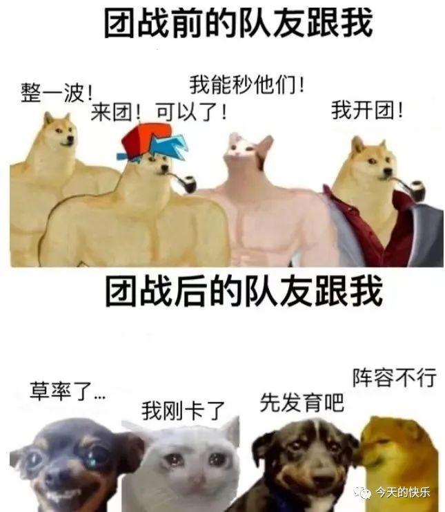 精选搞笑爆笑的沙雕段子合集,15个搞笑幽默的沙雕段子分享