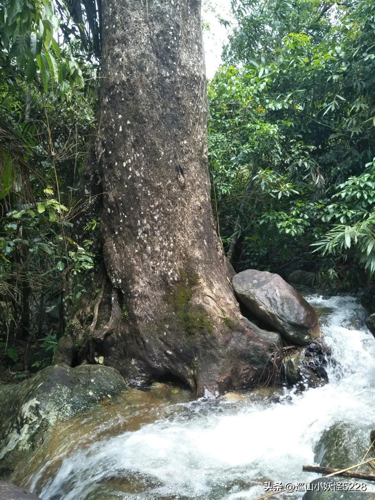 海口金牛岭的传说故事,三亚凤凰岭的传说和故事