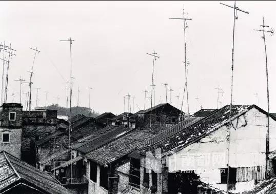 广东有百分之几人看春晚,广东人看春晚的多不多