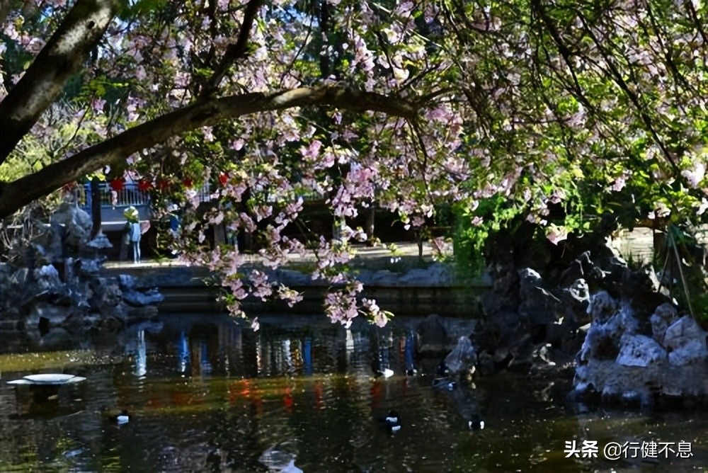 经典咏柳宋词,关于咏柳著名诗句及其赏析