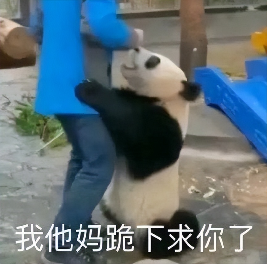 化石级软件,用10年飘出巷子,软件代理商:我们从不外传