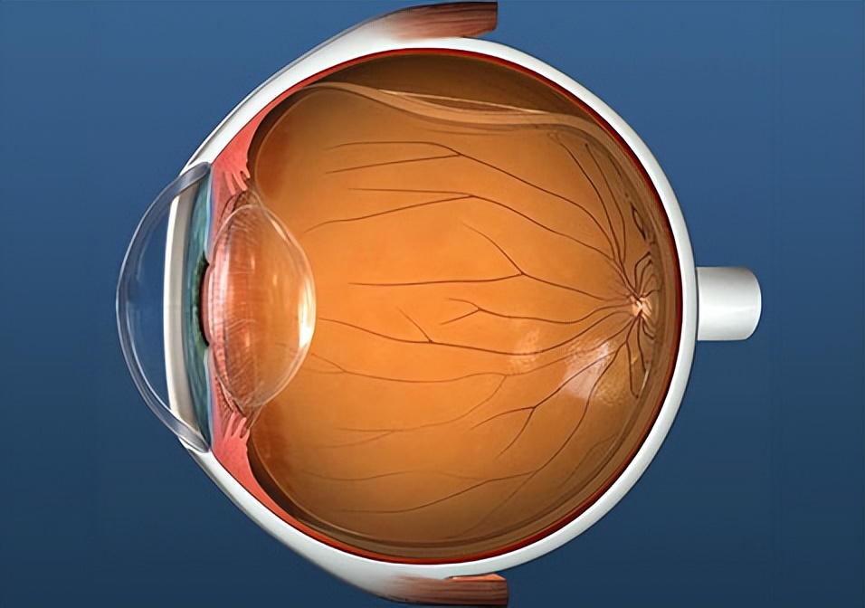 男子钓鱼甩竿不慎钩住自己眼皮,男子钓鱼被钩住眼镜