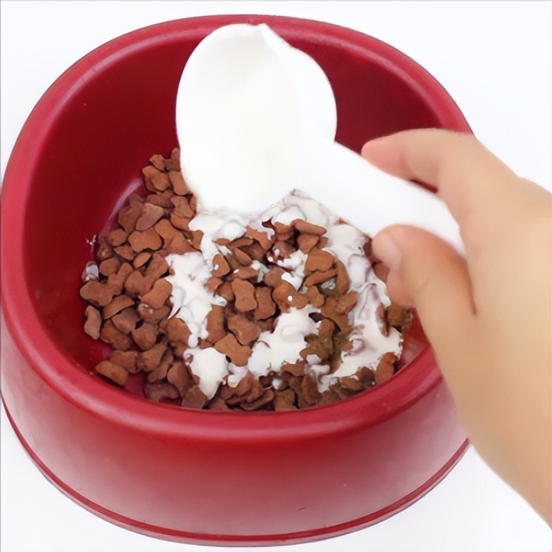 狗狗自制狗粮怎么喂最好,怎么给狗狗做最好的狗粮